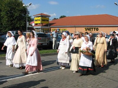 %%C5%%9Awi%%C4%%99to mostu (3)